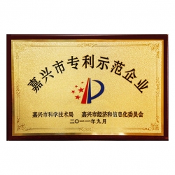 嘉興市專利示範企業