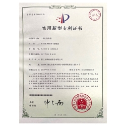 實用新型專利 (3)